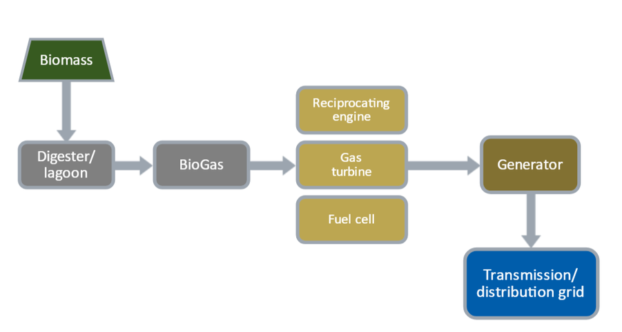 Anaerobic Digestion Biopower